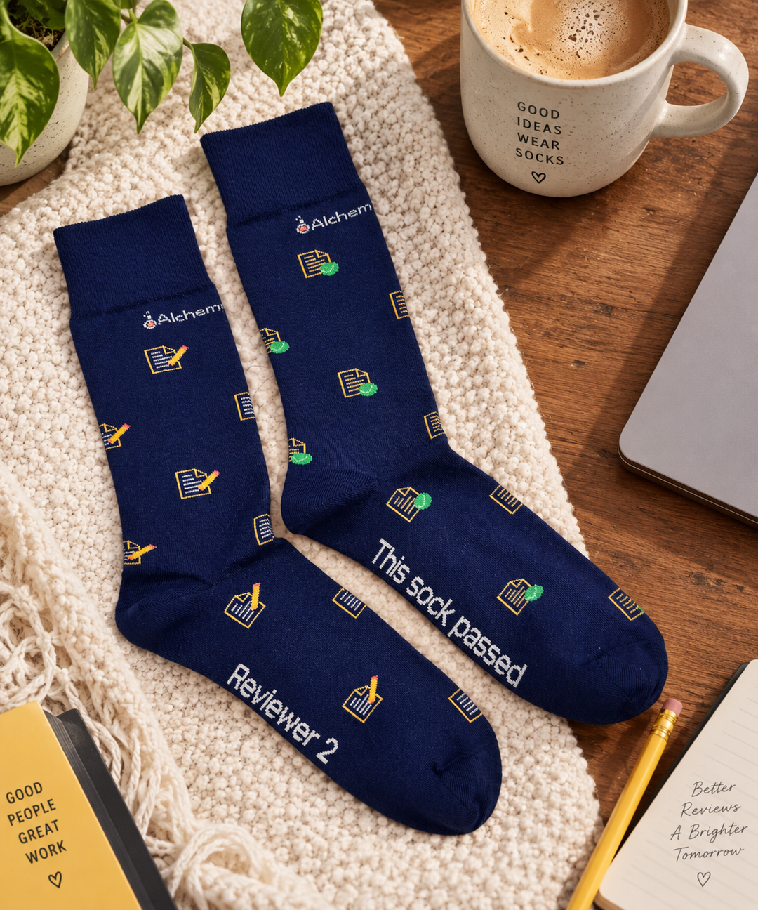Reviewer 2 Had Notes: The Custom Sock Order That Needed Its Own Peer Review