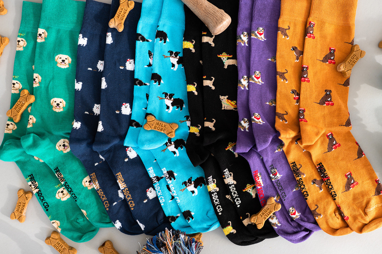 10 Fun Facts About Cats & Dogs