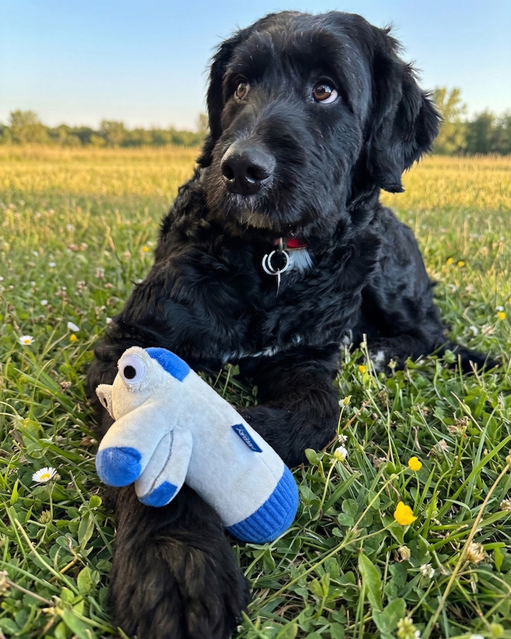 Threadrick Plush Dog Toy