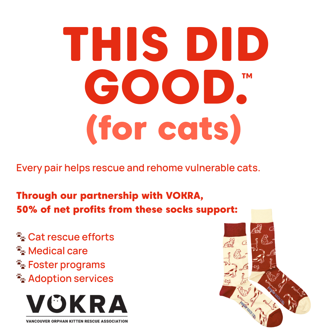 Men's Cats TDG Socks
