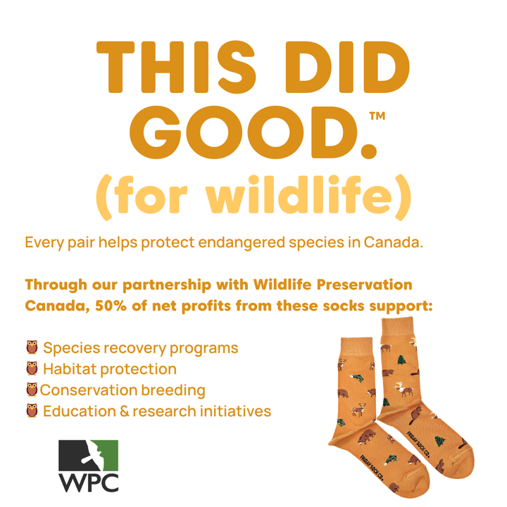 Men's Wildlife TDG Socks