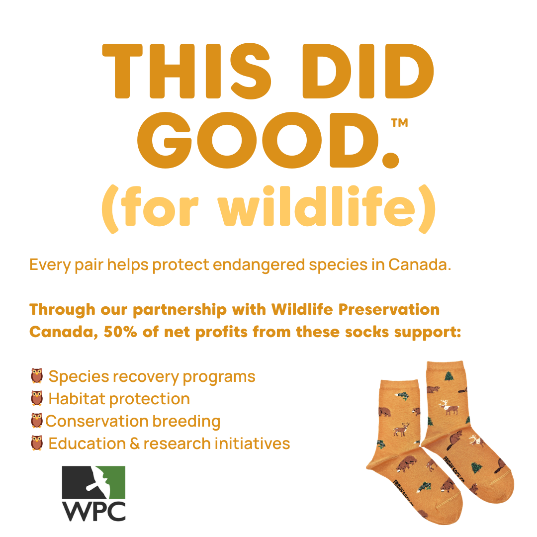 Women's Wildlife TDG Socks