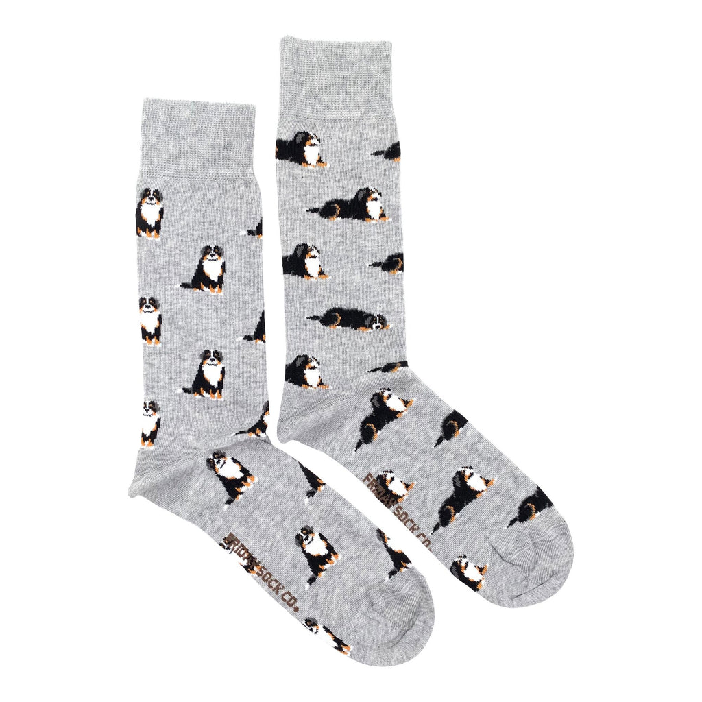 Mens Socks | Mismatched by Design | Friday Sock Co.