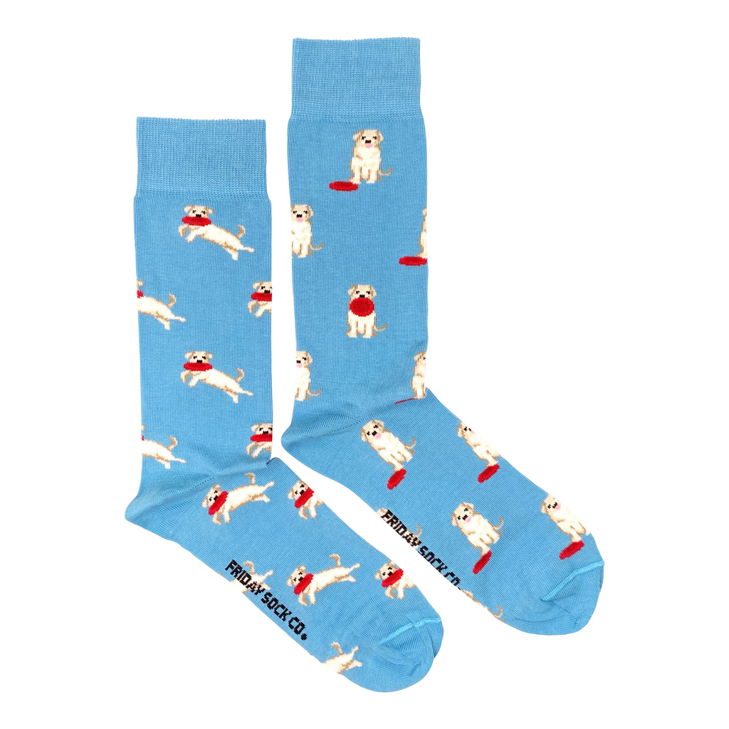 blue socks with golden dog and red frisbee for men