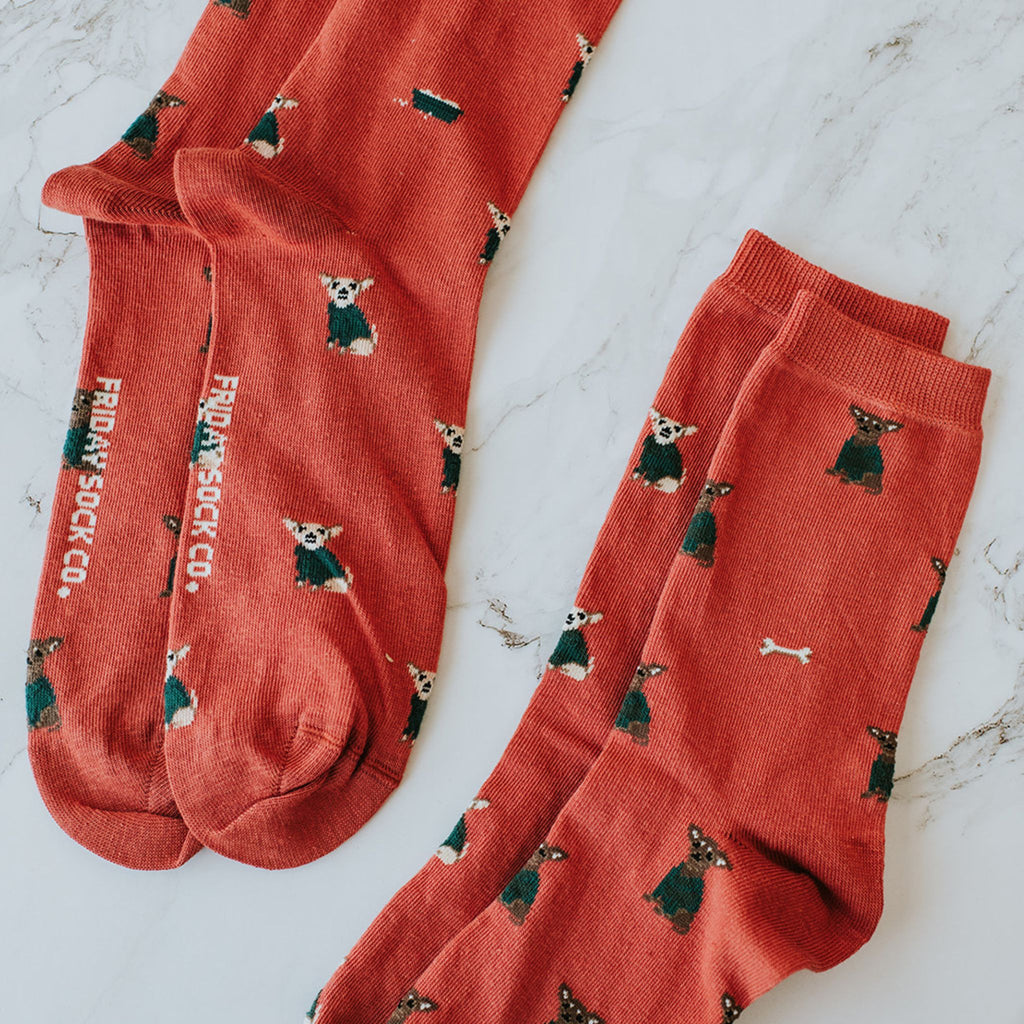 Men's Little Dogs in Sweaters Socks