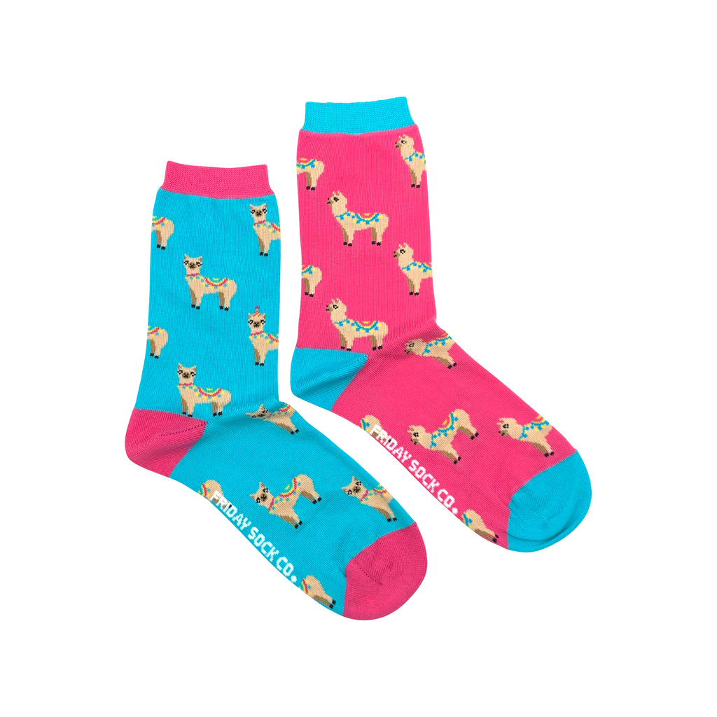 pink and blue socks with llamas for women